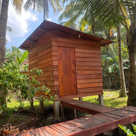 Coco Cabins By Thush Bentota Eksteriør billede