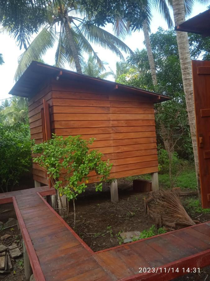 Coco Cabins By Thush Bentota Eksteriør billede