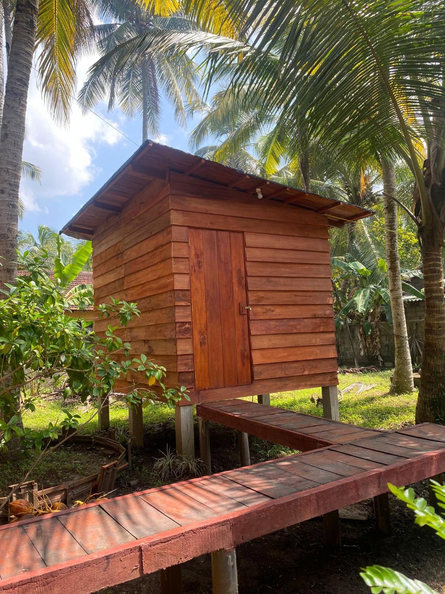 Coco Cabins By Thush Bentota Eksteriør billede