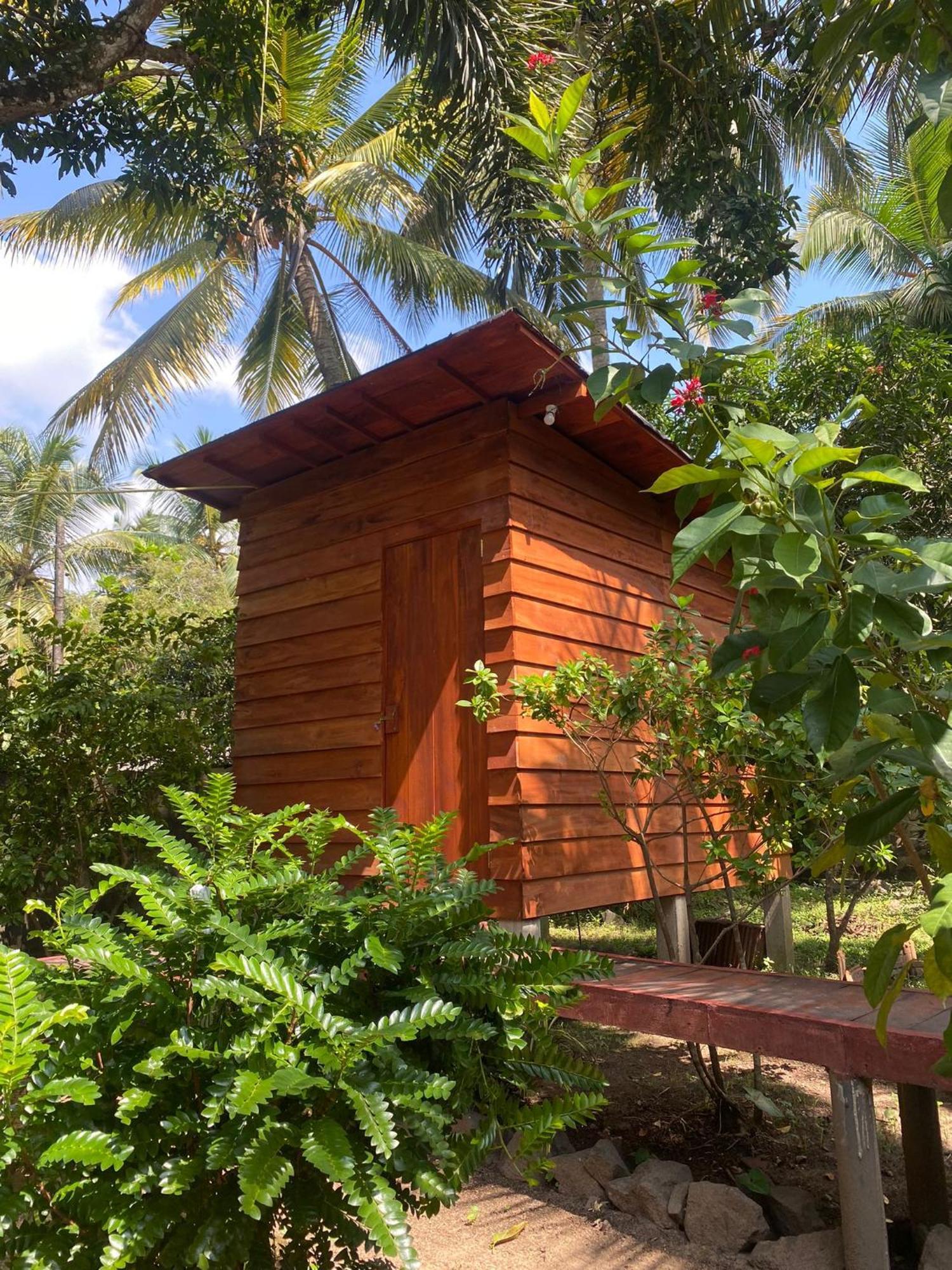 Coco Cabins By Thush Bentota Eksteriør billede