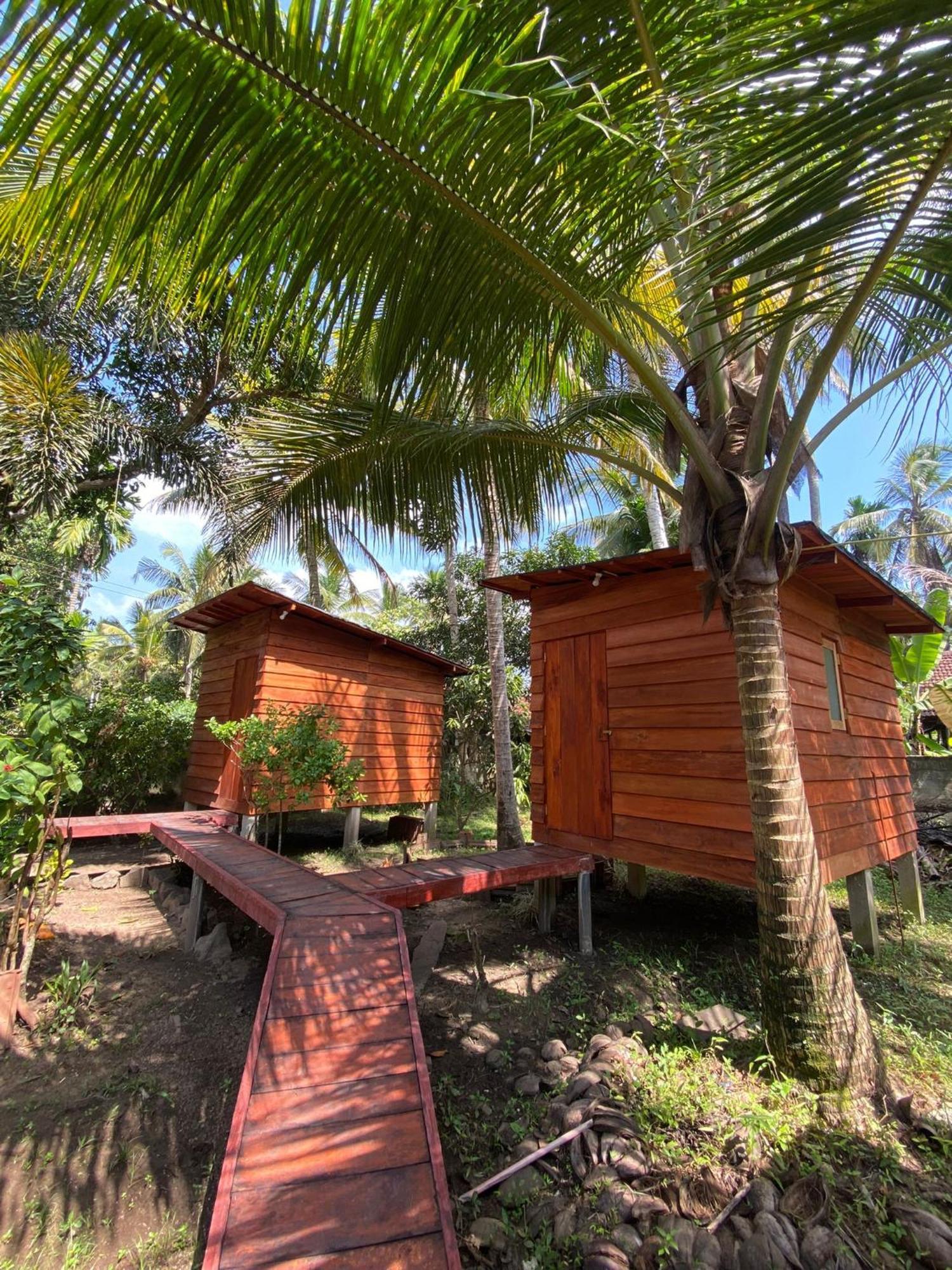 Coco Cabins By Thush Bentota Eksteriør billede